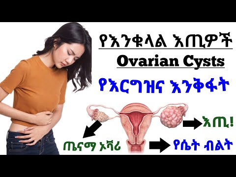 ቪዲዮ: የእንቁላል እጢዎች የሁለትዮሽ ናቸው?