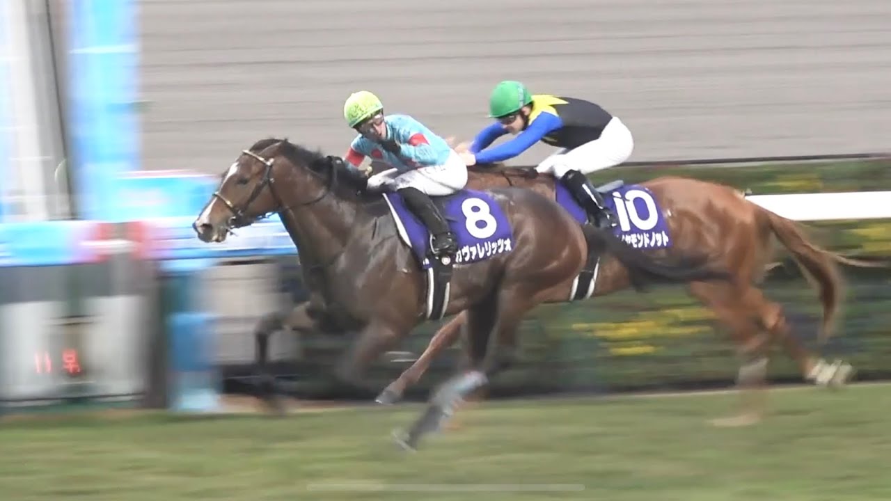 Local] 2025 G1 Asahi Hai Futurity Stakes Cavalerizzo C. DeMuro