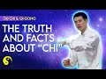 The TRUTH and The Facts About "Chi"