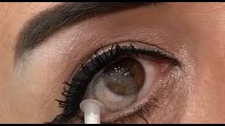 Renkli Lens - Bella Amber Grey Bi Dünya Lens