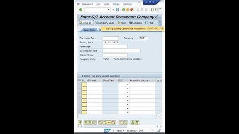 Document Type Not Appearing in SAP Posting? | Complete Solution
