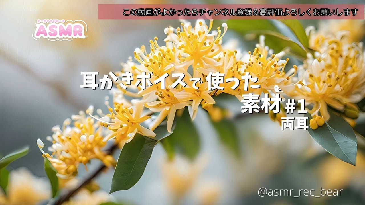 【ASMR】耳かきボイスで使った素材#1　notalking 両耳