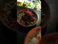 Getting lucky at Lucky 8, Ponsonby | Restaurant Reviews | Savour Oceania