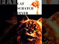 CAT SCRATCH FEVER? | #meow #meowmix #cat #catscratchfever #shorts