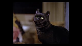 Salem Saberhagen Remembers Bobunk