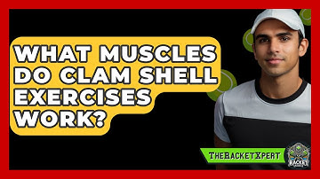 What Muscles Do Clam Shell Exercises Work? - The Racket Xpert