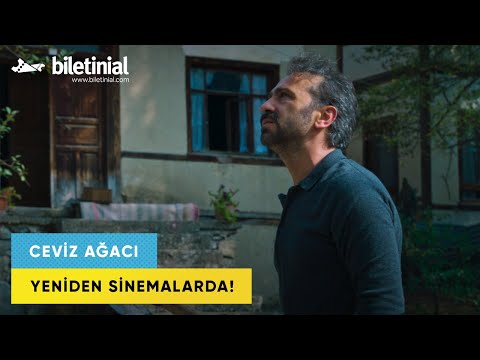 Ceviz Ağacı Fragman | Biletinial