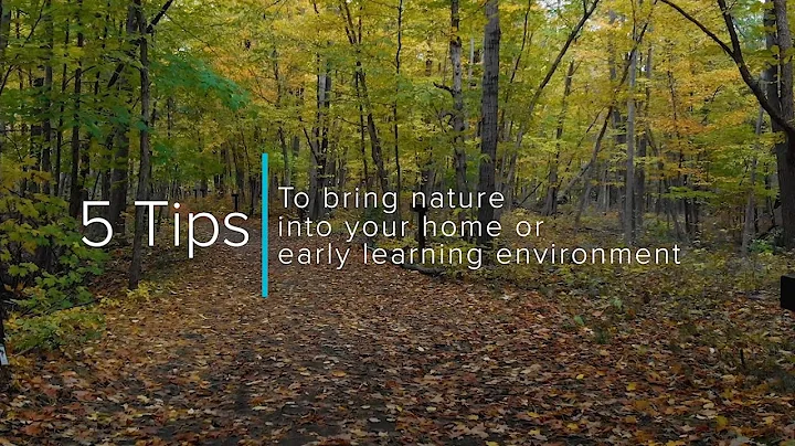5 tips to bring nature into the early learning environment