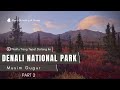 Fall Color in Denali National Park Alaska | Part 2