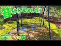 【芝生と雑木の庭】苔(コケ)はじめました！