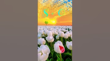 S love O status video #whatsapp_status #name_status_video #viral #reels #nameart #ravindra_ranjan