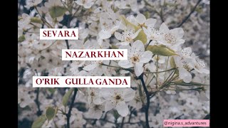 Sevara Nazarkhan - O'rik Gullaganda (lyrics/qo'shiq matni/tekst)