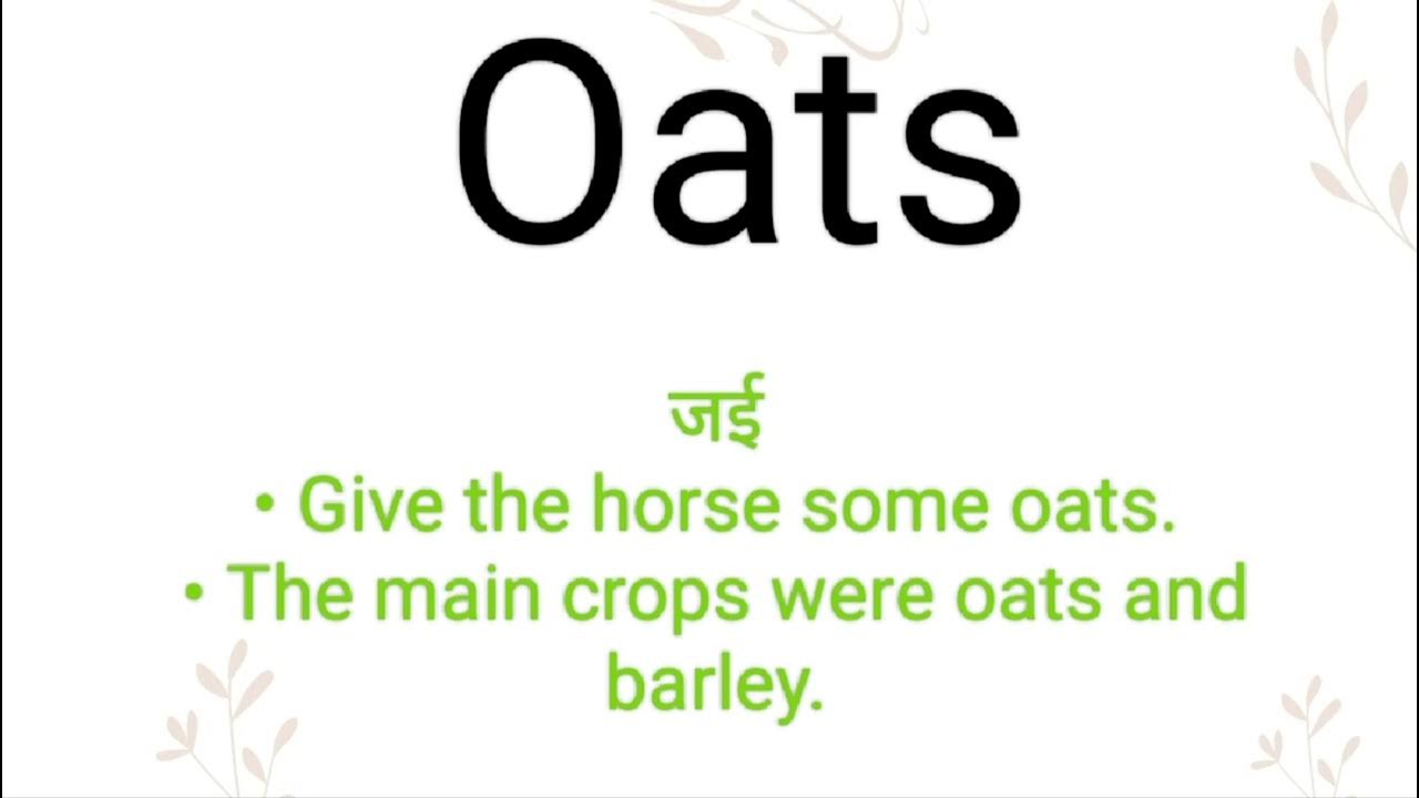 oats-ka-hindi-meaning-l-oats-ka-english-meaning-l-oats-youtube
