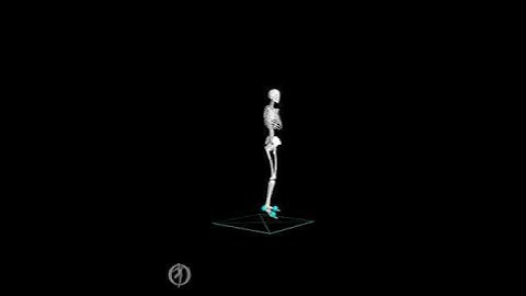 Squat jump simulation with OpenSim Moco