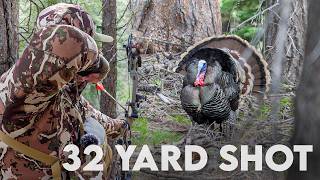 Bird Paradise! | Bow Hunting Frosted Tip Turkey (Mountain Merriam's)