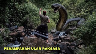 ULAR RAKSASA TIBA TIBA MUNCUL NYATA BUAT WARGA GEGER !!!
