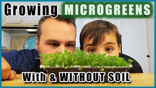 How to Grow Microgreens with & WITHOUT Soil.