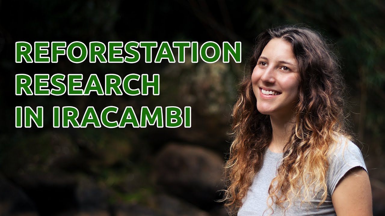 Reforestation Research at Iracambi