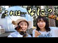 全財産かけて作った独身女のキャンプ場に突撃してきたら…【独ヲタ女子アッキー】