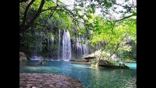 Waterfall  Stream Sound in forest . Waterfall Sounds, Flowing Water, White Noise, Nature Sounds