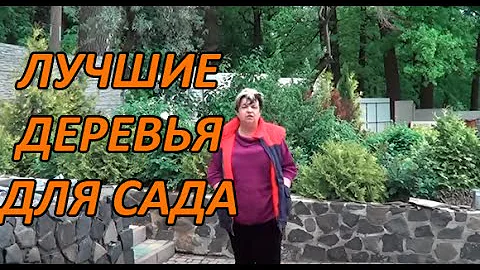 Лучшие Деревья Для Сада ( Облепиха, Шефердия, Лох Серебристый, Гуми)
