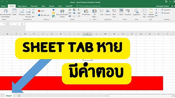 วิธีแก้ sheet excel หาย