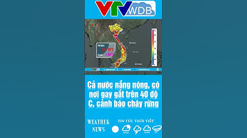 Cả nước nắng nóng, có nơi gay gắt trên 40 độ C, cảnh báo cháy rừng | VTVWDB