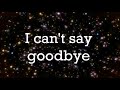 The Amazing World of Gumball - Goodbye (Lyrics)