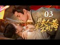 將軍夫人不好惹 EP03 赵露思 吴磊 曖昧偷情 重生嫡女來復仇 將軍深夜入閨房強吻她 吳磊 趙露思 Zhaolusi Wulei Lovelikethegalaxy 星汉灿烂 