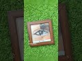 Eye frame #youtubeuploader #yputubeshorts #shortvideo #shorts #frame #love #coimbatore #eyeframes