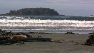 10 min break - Ocean waves & surf sounds, Tofino Sunset.