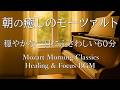 【朝のクラシックBGM60分】心を癒すモーツァルト名曲集｜読書・朝活・休日に最適