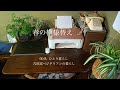 【古民家暮らしのvlog】春の音/春の模様替え/春の恵み