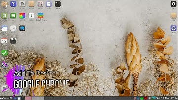 Puppy Linux: Install Google Chrome