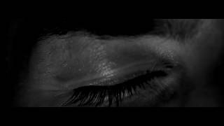 Infestus - Pulse of Annihilation