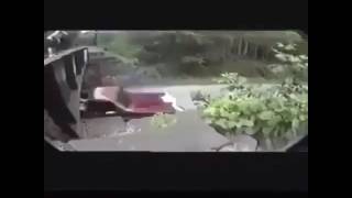 Funniest Video Memes Ever Nov 2016