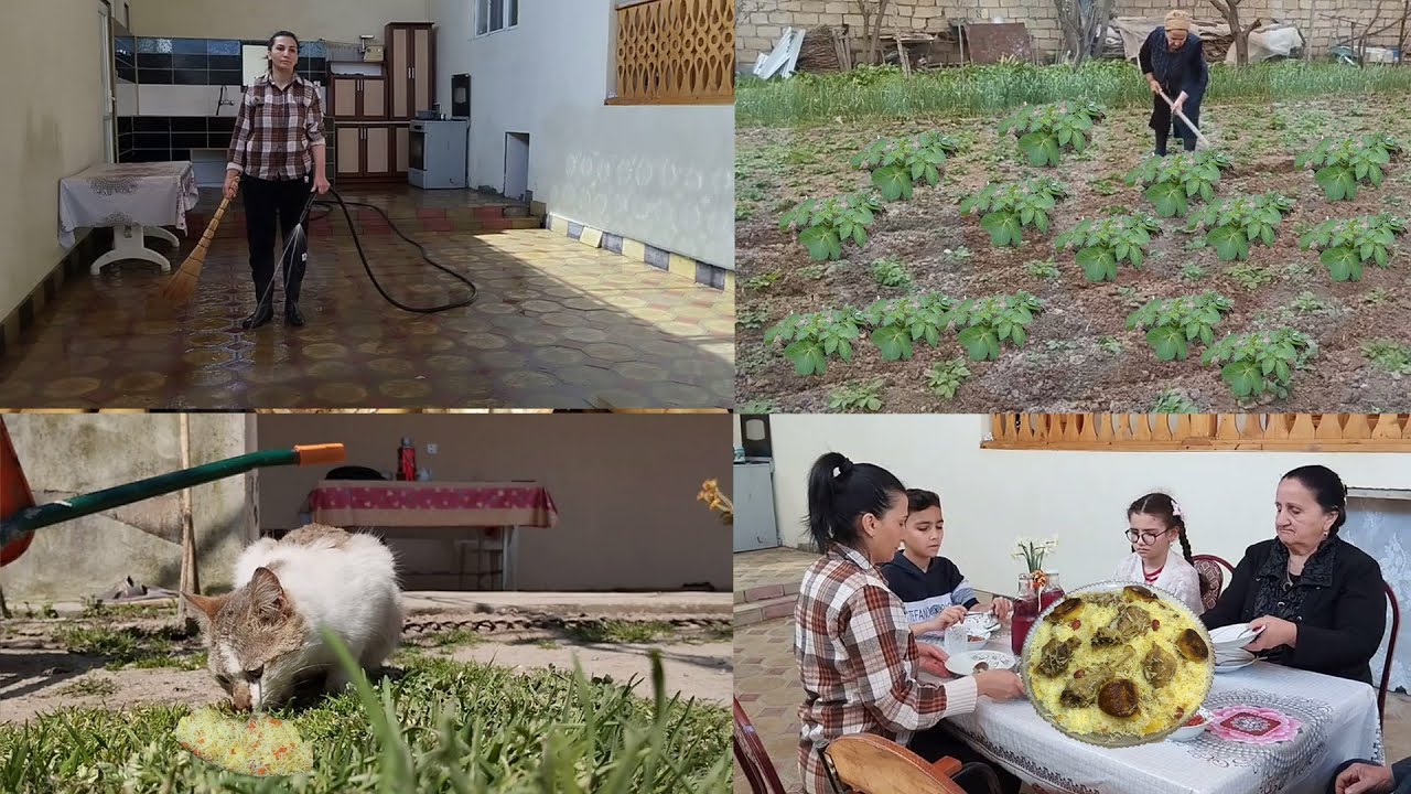 Бабушка посадила картошку на своих полях, невеста убрала дом и приготовила плов!