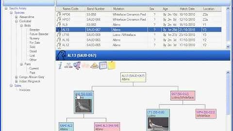 AviMan: Aviary Management System