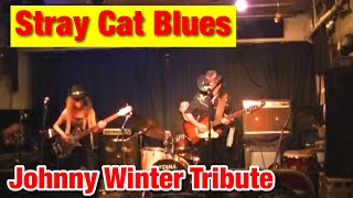 Stray Cat Blues　(Johnny Winter Tribute)