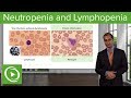 Quantitative WBC Disorders: Leukocytosis & Leukopenia – Pathology | Lecturio