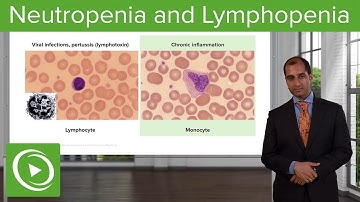 Quantitative WBC Disorders: Leukocytosis & Leukopenia – Pathology | Lecturio