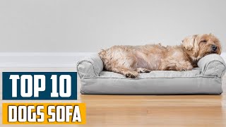 Top 10 Best Sofa for Dogs in 2025 | Reviews, Prices & Where to Buy
