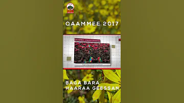 Qaammee 