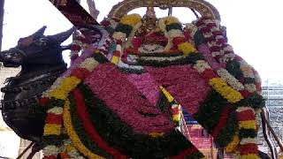 ஓம் நம சிவாய சிவ ராத்திரி அன்று சிவனை தரிசித்து அருள் பெறுங்கள்