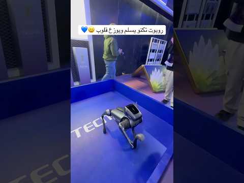 روبوت تكنو يسلم ويوزع قلوب