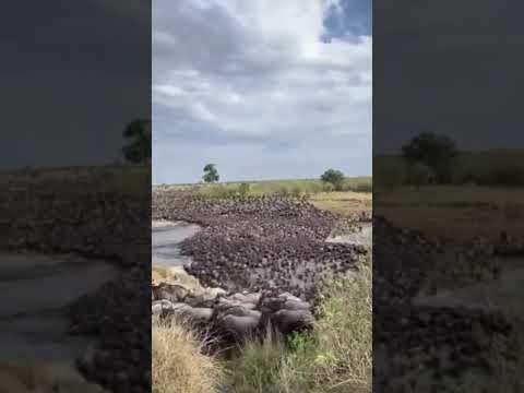 TANZANIA UNFORGETTABLE Tanapa Tanzania