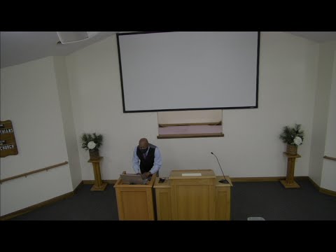 Video preview