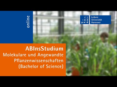 Molekulare & Angewandte Pflanzenwissenschaften (B.Sc.) @ Uni Hannover - Chrissi erzählt vom Studium