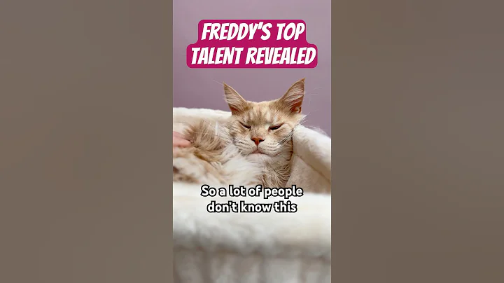 Watch the video about His talents are endless 🤣❤️