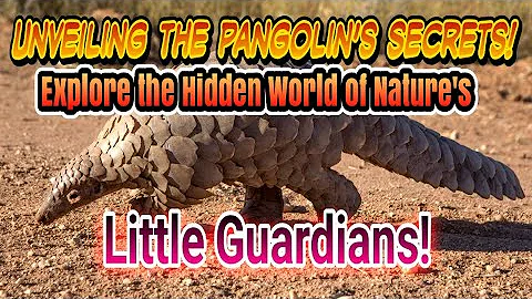 The Enigmatic Pangolin: Exploring the Fascinating World of Anteaters!